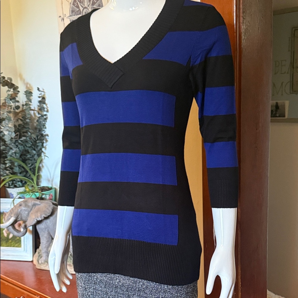 NWT Style&Co size small Striped V-Neck Sweater - Black and Blue